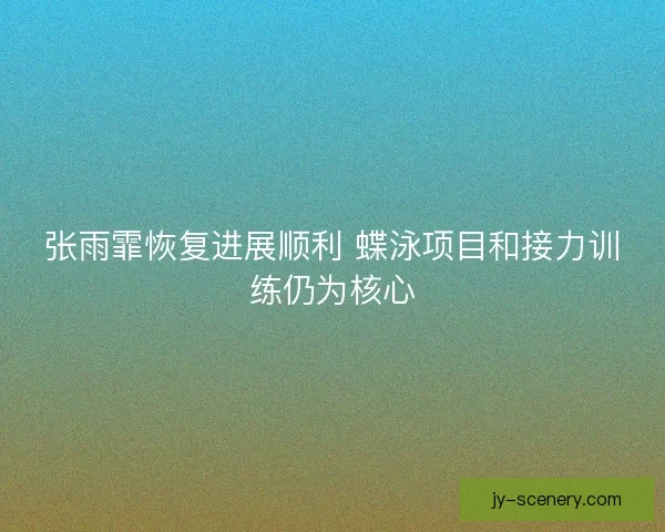 张雨霏恢复进展顺利 蝶泳项目和接力训练仍为核心