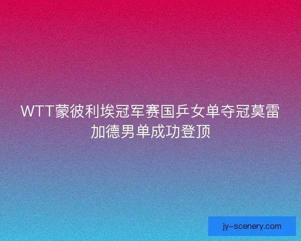WTT蒙彼利埃冠军赛国乒女单夺冠莫雷加德男单成功登顶